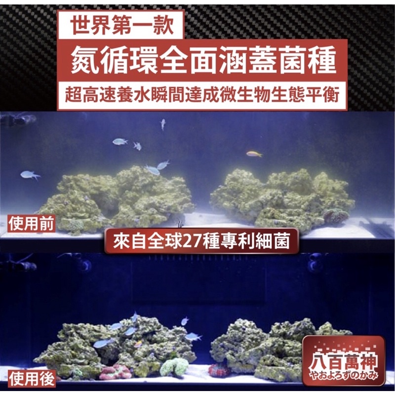 【龍潭水族】八百萬神消化菌【硝化菌】【光合菌】【厭氧菌】 縮圖 6