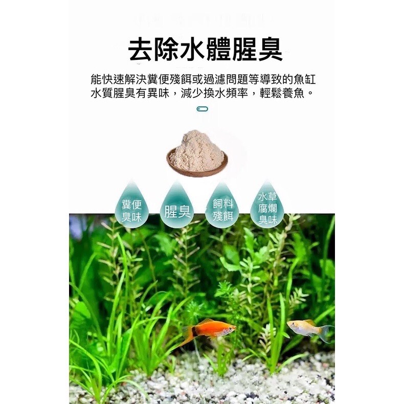 🐟龍潭🐟🎴八百萬神 超強效水質淨化球🎴 ❗❗實測影片❗❗ 空氣缸 除黃水 濾材 過濾器濾材 淨水丸 去除NO3 亞硝酸 縮圖 8