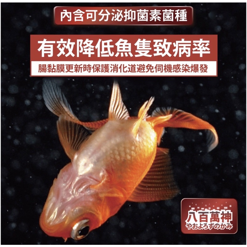 【龍潭水族】八百萬神消化菌【硝化菌】【光合菌】【厭氧菌】 縮圖 8