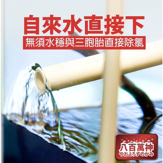 八百萬神微型八重除氯器（主機） 縮圖 3