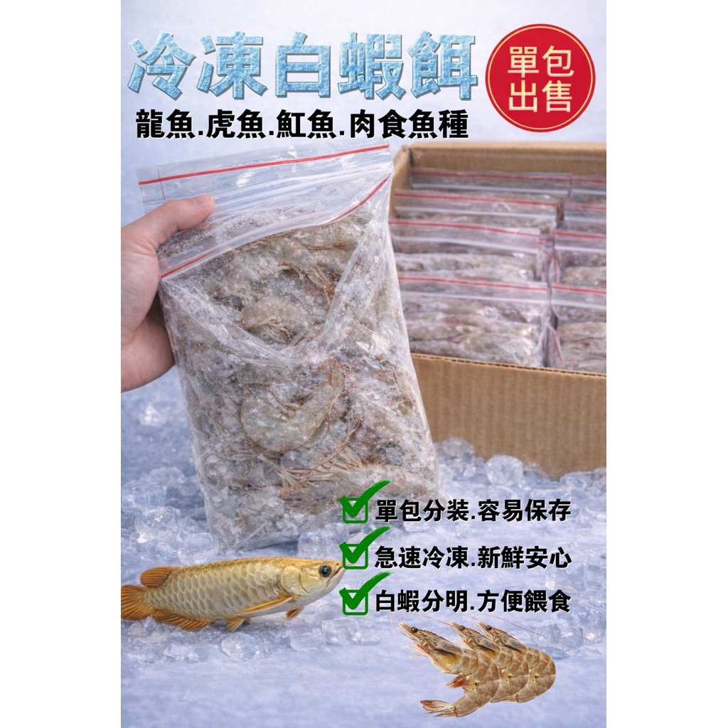 食用級冷凍白蝦 肉食觀賞魚專用 高蝦紅素 新鮮無毒無泡藥