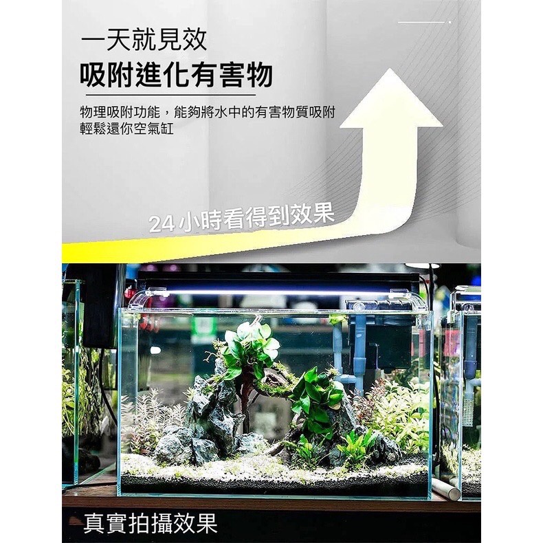 🐟龍潭🐟🎴八百萬神 超強效水質淨化球🎴 ❗❗實測影片❗❗ 空氣缸 除黃水 濾材 過濾器濾材 淨水丸 去除NO3 亞硝酸 縮圖 6