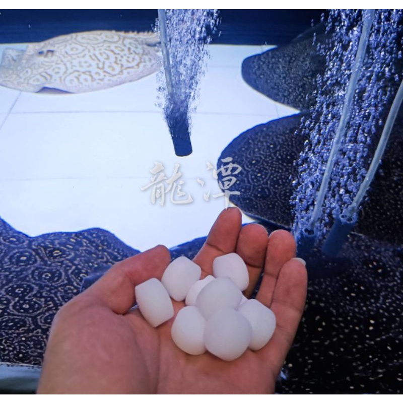 殺菌鹽錠 水族殺菌 淨化水質 淨水產品 縮圖 2