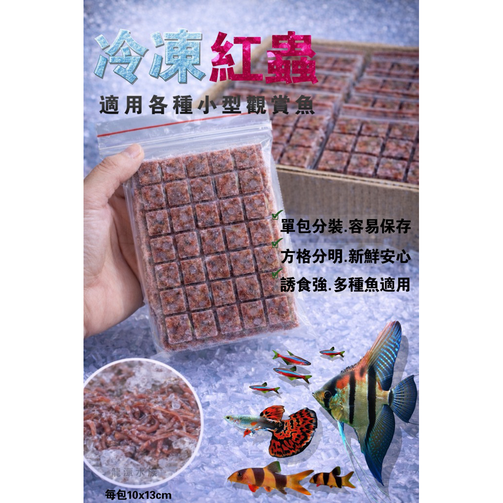 「殺菌冷凍赤蟲 」方塊分裝 小型觀賞魚專用 餵食方便