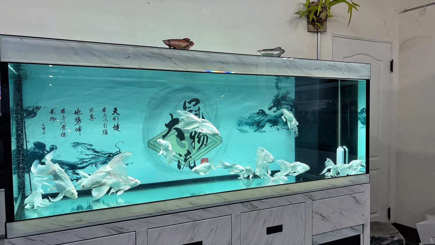 長型魚缸搭配大理石紋檯面與書法背板，缸內有白色觀賞魚