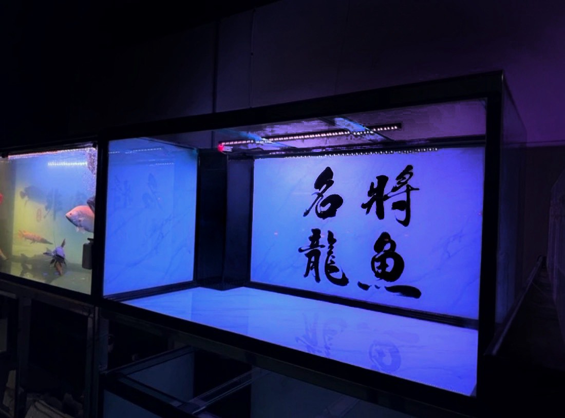 書法字樣背板的魚缸，藍色照明